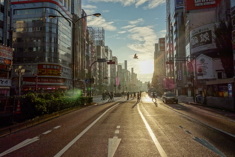 Visiting 9 cities in Japan - Oct and Nov 2016 - On my way to the station this morning, I took the greatest photo of my life without even trying. Perfect light, and a huge bird flying over.