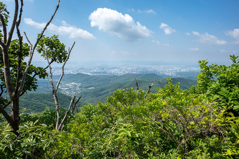 Korea-Suwon-Hiking-Gwanggyosan - View from the top, the green ridge would be the way I go down, the way up is around to the left of this picture.