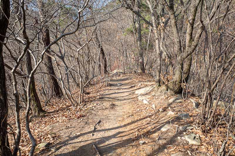Korea-Daejeon-Hiking-Gyeryongsan - The path became the familiar dead and brown, but at this point not too leafy.