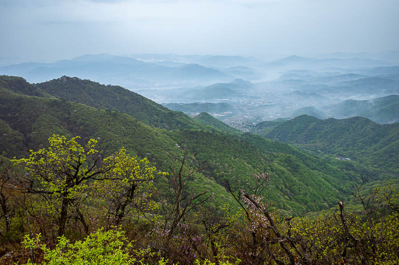 Korea-Seoul-Hiking-Yongmunsan - I kind of like the foggy shots, so why not more.