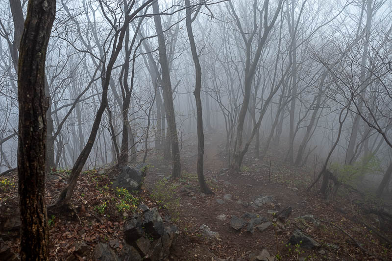 Korea-Seoul-Hiking-Yongmunsan - I was in fog like this for probably 2 hours.