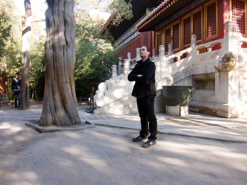 China November 2011 - From Shanghai to Beijing - I look like a secret agent in a bad movie. If I just had an earpiece and pistol with a silencer.