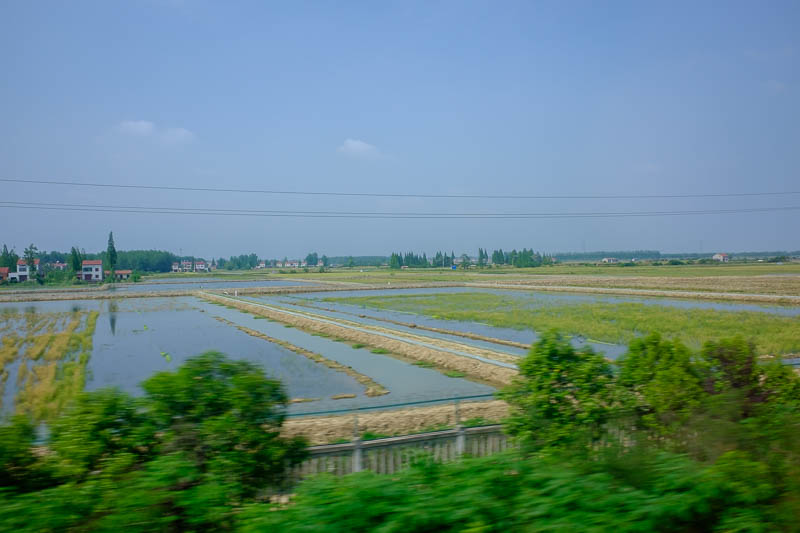 China-Chongqing-Wuhan-Bullet Train - The second half of the journey has been very flat so far, with an inland sea of farm land, all very green. A bit more pollution came back.