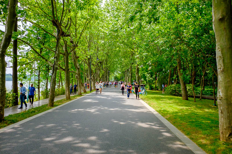China-Wuhan-East Lake-View - The roads were lined with wonderful shade producing trees.