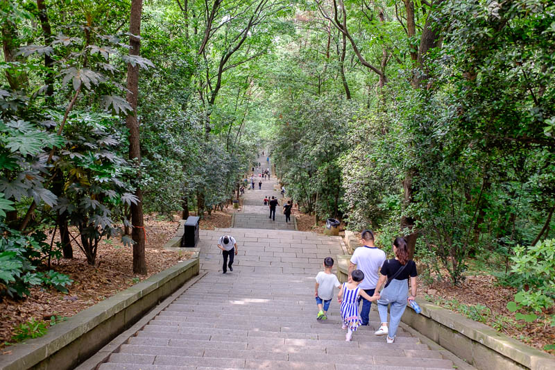 China-Wuhan-East Lake-View - Lots of steps down, very high quality park, nice trees.