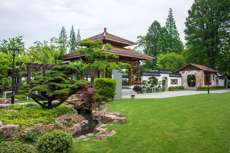 China-Shanghai-Botanic Garden-Flowers - A very large very formal very new Chinese garden full of bonsai.