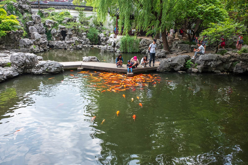 China-Shanghai-Park-Yuyuan Garden - This child was feeding his feet to the piranhas.