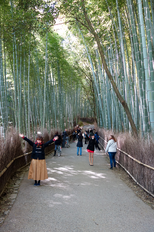 Japan-Kyoto-Arashiyama-Hiking-Bamboo-Monkeys - The bamboo sea is another of the attractions here. Its not huge. Its tiny compared to the one in Chengdu or wherever I went last trip. But I managed t