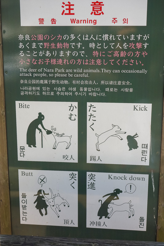 Japan-Nara-Temple-Hiking-Deer - None the less, the sign warns you not to mess about with the deer or you will die.