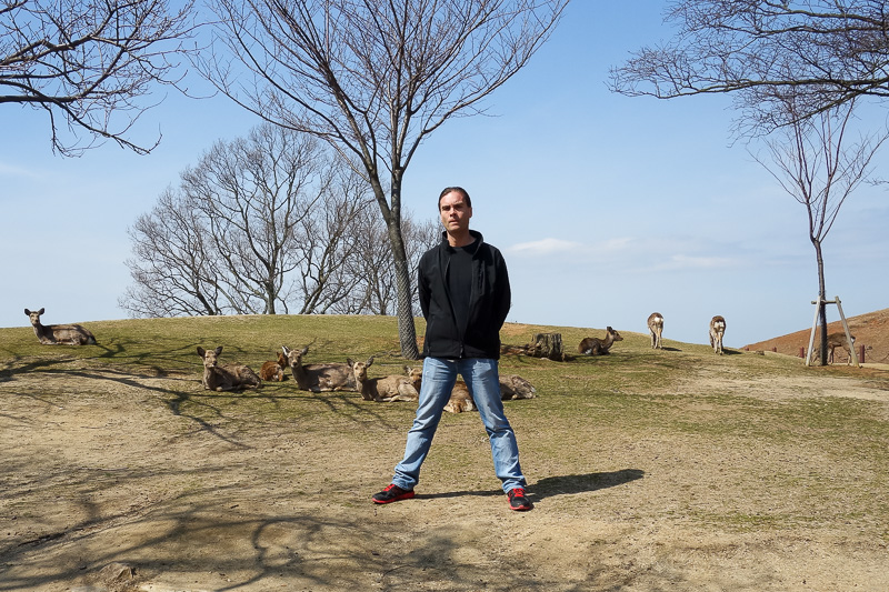 Hong Kong - Japan - Taiwan - March 2014 - Me, posing with my faithful deer army on the summit.