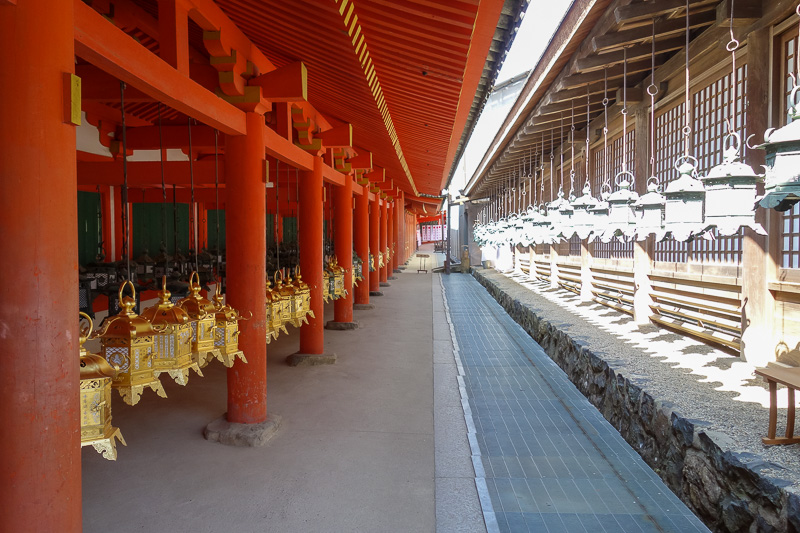 Japan-Nara-Temple-Hiking-Deer - Another temple, with many lanterns. A path thats a few miles long with thousands of concrete lanterns takes you there. There were candles inside every
