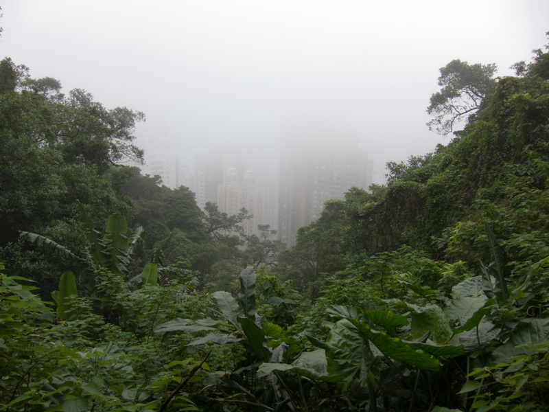 Hong Kong-The Peak-Fog-View - View from halfway up, obscured by clouds.
