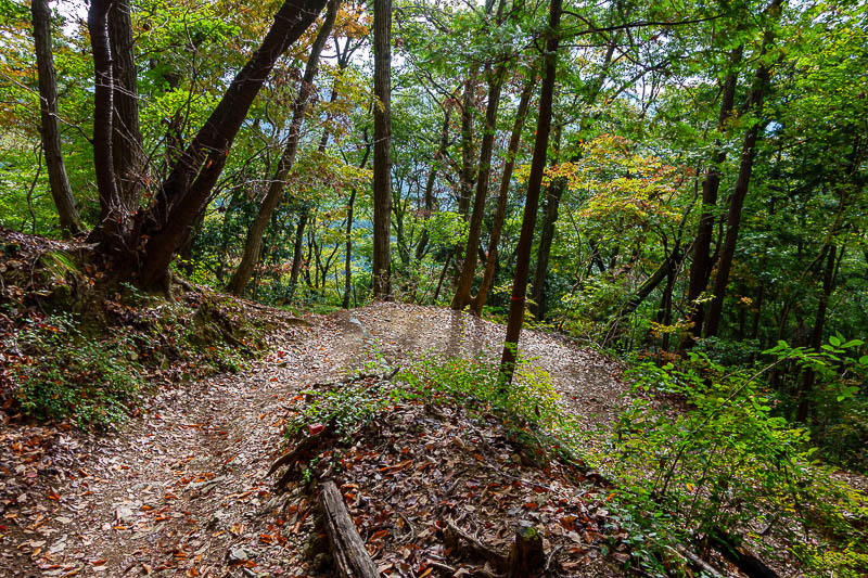 Japan-Tokyo-Hiking-Jinba-Takao - Behold, hiking trail! Too early for good leaf colours, there will be plenty of that later.