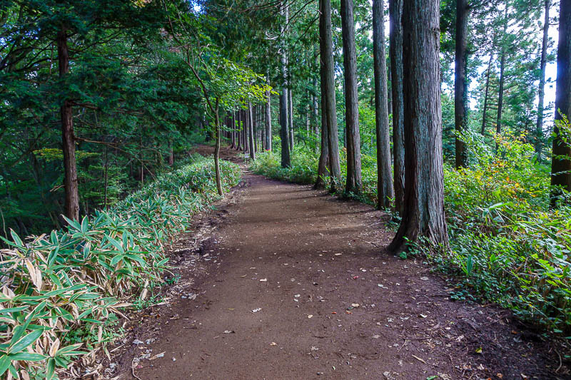 Japan-Tokyo-Hiking-Jinba-Takao - Hiking trails do not get much smoother than this.