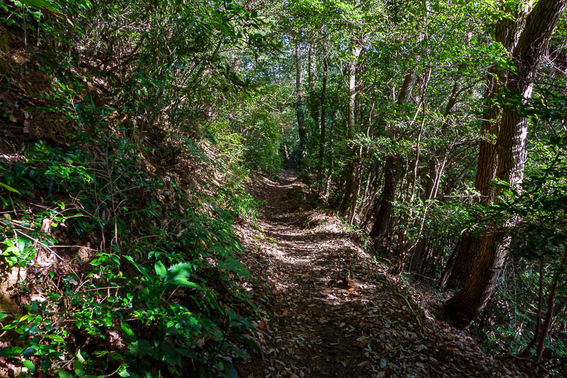 Japan-Tokyo-Hiking-Jinba-Takao - The path back is about 2.5km and very lonely. There is a closer train station run by Keio corp, but that then changes at Takao anyway, so I decided to