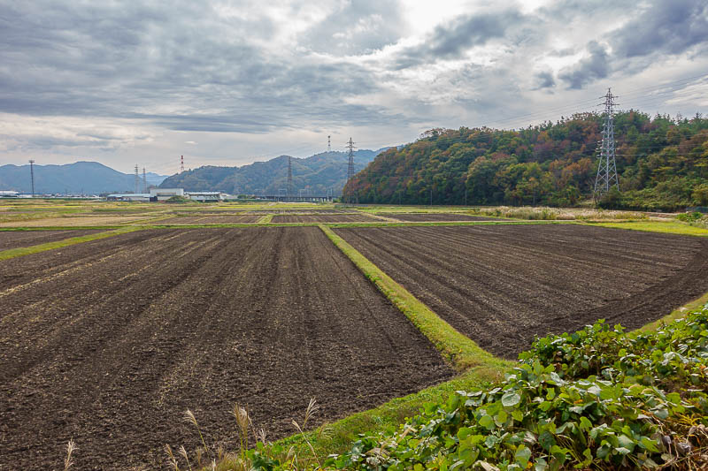 Japan-Hikone-Castle - A nice view across the farmers fields on my lonely walk back to the station. I remembered this bit, it is an old train line that used to go to the clo