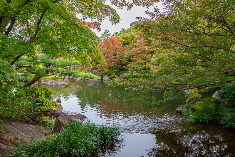 Japan-Himeji-Castle-Shrine - Then a pond, with fish, and a bit of colour.