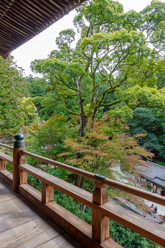 Japan-Himeji-Castle-Shrine - Really nice trees up here.