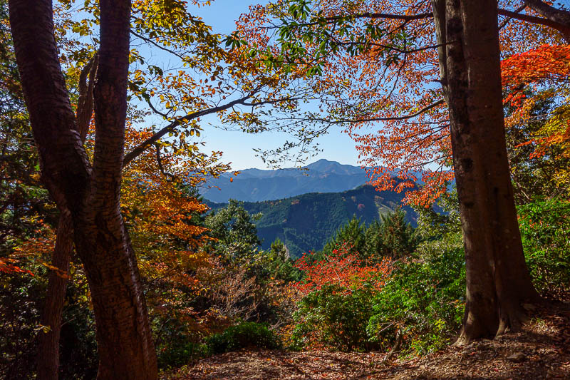 Japan-Tokyo-Hiking-Mount Takamizu - Great view!