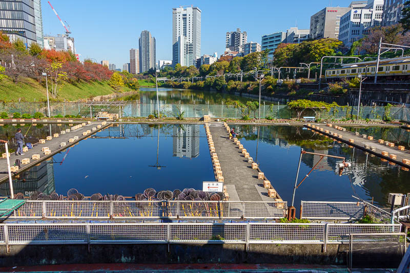 Japan-Tokyo-Ueno-Shinjuku - The moat along here has old man fishing world. Note that there are toilets over the water.
