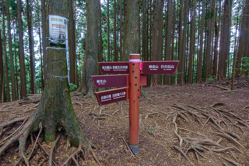 Japan-Hiking-Asoyama-Hinodesan-Mitake - There are quite a lot of paths through this area, 5 of them meet here.