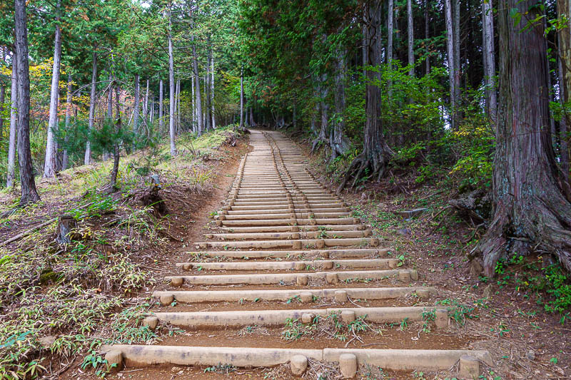 Japan-Hiking-Asoyama-Hinodesan-Mitake - Lots and lots of steps.