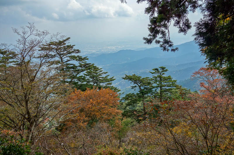 Japan-Tokyo-Hiking-Mount Oyama-Autumn - Back below the cloud, the best I can do to suggest I was up high at some point. There were not a lot of clearings in the trees to take such photos, ev