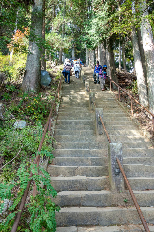Japan-Tokyo-Hiking-Mount Oyama-Autumn - These are the steepest steps I have ever climbed up (and then down again) in my life.