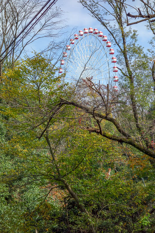 Japan-Inuyama-Castle-Monkeys - My walk through the forest was good, I could see various roller coasters and this huge ferris wheel, but none were operating. The distorted music pipe