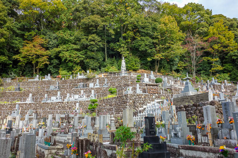 Japan 2015 - Tokyo - Nagoya - Hiroshima - Shimonoseki - Fukuoka - Not only was it a theme park, but also a graveyard. Possibly from the monorail. Maybe thats why it stopped running.