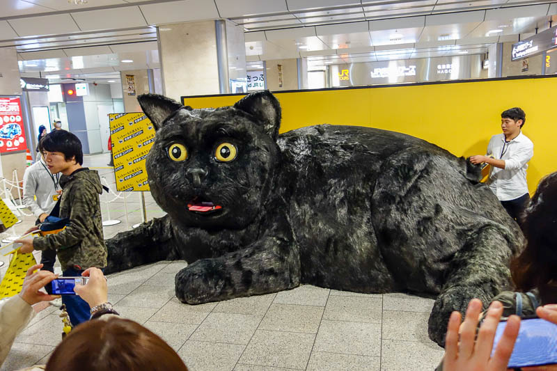 Japan 2015 - Tokyo - Nagoya - Hiroshima - Shimonoseki - Fukuoka - First up this evening, I got to appreciate a giant cat. Along with about 1000 other people. You could line up to have one on one time with the cat.