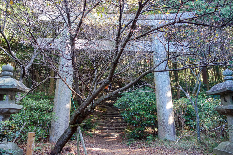 Japan-Fukuoka-Hiking-Mount Homan-Dazaifu - Every now and then, another gate.