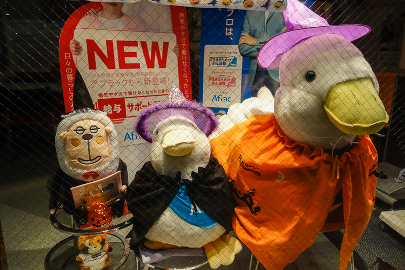 Visiting 9 cities in Japan - Oct and Nov 2016 - Halloween runs all month in Japan. This entire shops window is halloween themed. I have absolutely no idea what they sell here. Insurance maybe. Or pe