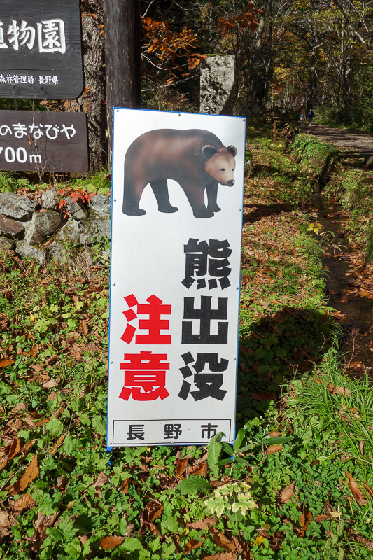 Japan-Nagano-Togakushi-Hiking-Autumn Colors - There really were signs everywhere advising you that you will get eaten by a bear.