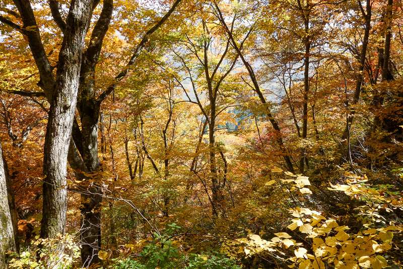 Japan-Nagano-Togakushi-Hiking-Autumn Colors - The view on the way down was worth the hassle of dirty hands.