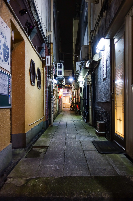 Japan-Toyama-Food-Okonomiyaki - Frightened by the abundance of shops, lights and people, I retreated down some dark alleyways.