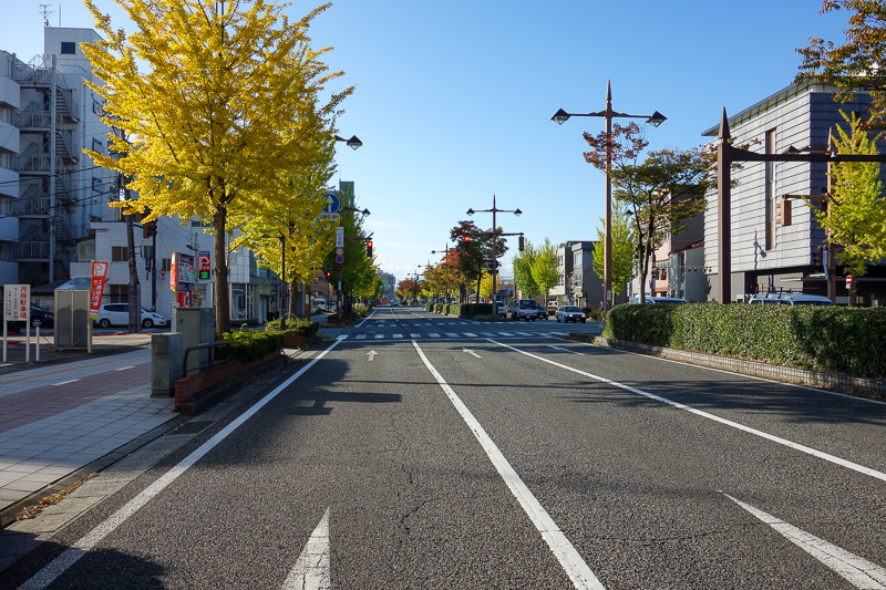 Visiting 9 cities in Japan - Oct and Nov 2016 - Some of the streets are nice with trees and colored man hole covers and birds making a strange mechanical noise.