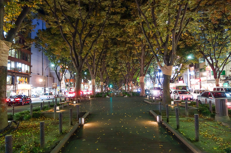 Japan-Sendai-Shopping Street - You can also stand in the middle of the road and look at the leaves, only they are not lit up here, no colors of the night.