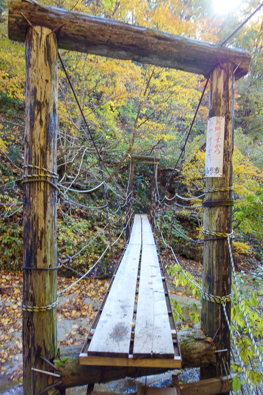 Visiting 9 cities in Japan - Oct and Nov 2016 - And a fun bouncy suspension bridge, with some of the rotten wood replaced, but not all of it. How do they decide when its rotten enough to replace? Wh
