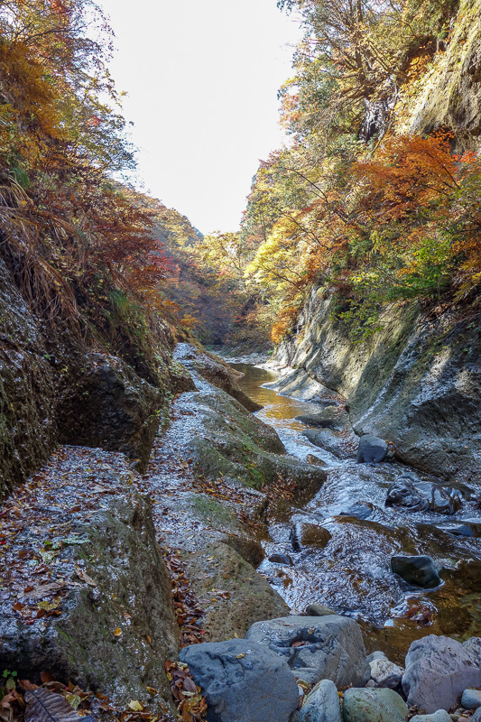 Japan-Sendai-Omoshiroyama-Hiking-Yamadera - Nice path.