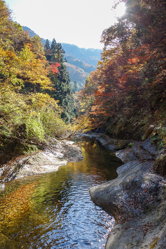 Visiting 9 cities in Japan - Oct and Nov 2016 - Last one from in the ravine.