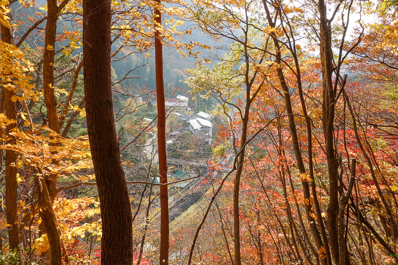 Japan-Sendai-Hiking-Omoshiroyama-Autumn Colors - <a href=https://lostorwhat.com/japan6/c-714.jpg>Link to Hi Resolution 3000x2000 version</a> In site of the station again now, I think this one wins th