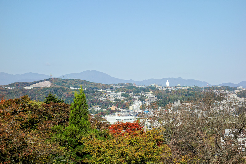 Japan-Sendai-Tokyo-Castle-Shinkansen - Nice Buddha statue, had not noticed that before coming up here. Also that mountain just left of centre, thats where I was yesterday. View from there w