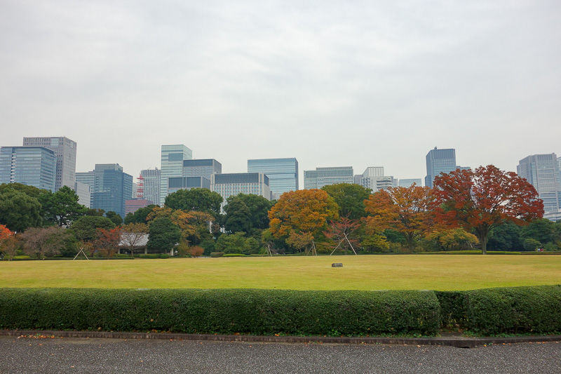 Visiting 9 cities in Japan - Oct and Nov 2016 - Tokyo central.