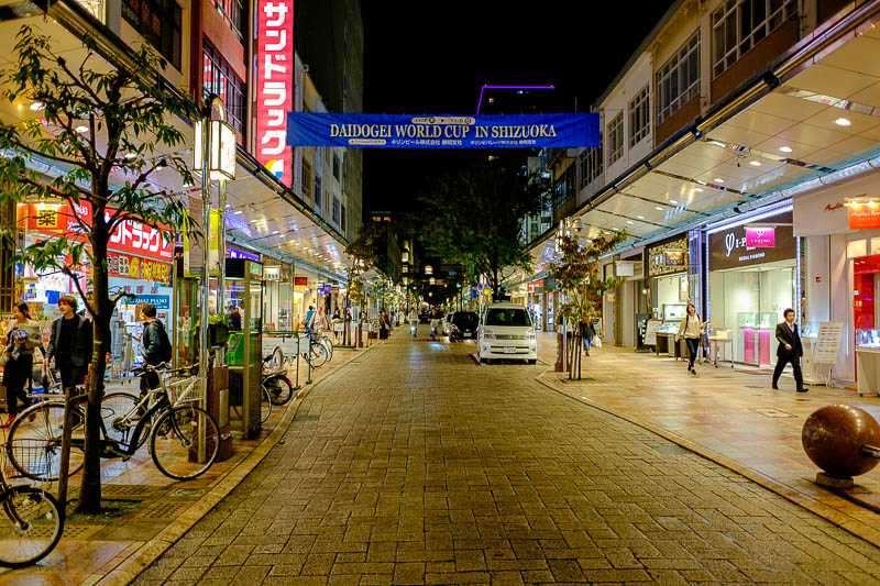 Japan-Shizuoka-Shopping Street-Food-Curry - Some of the streets around Shizuoka look like Kyoto, with the street verandah things, only its not very busy and a lot of places shut at 6pm.