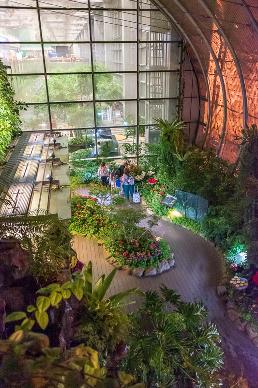 Melbourne-Singapore - As promised, here is the butterfly garden, shot from above, very high ISO on this photo (6400), handheld in the dark. Noisy probably, my eyes are too 