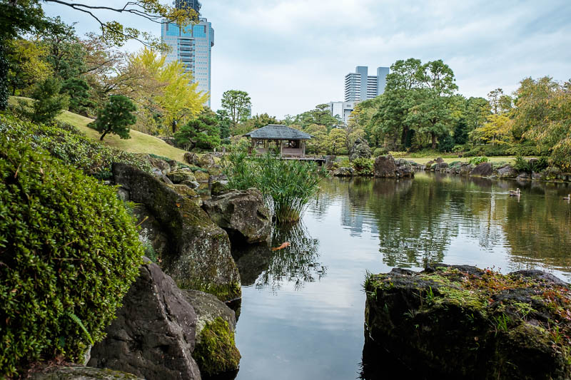 Japan-Shizuoka-Kyoto-Shrine-Garden-Train - The modern buildings in the background make this shot all the better.