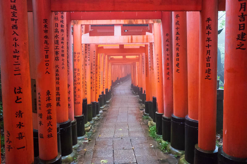 Japan-Kyoto-Fushimi Inari-Shrine-Rain - Rain concentrator