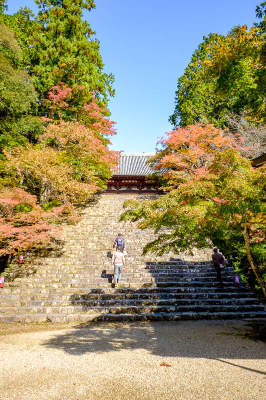 Japan-Kyoto-Hiking-Mount Atago-Arashiyama - Its not peak color, but already quite colorful. Lots of old people are here. Old German people filled the bus, they seem to have a thing where they ge