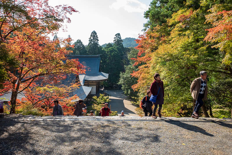 Japan-Kyoto-Hiking-Mount Atago-Arashiyama - Nice colors, I will say that a lot today.